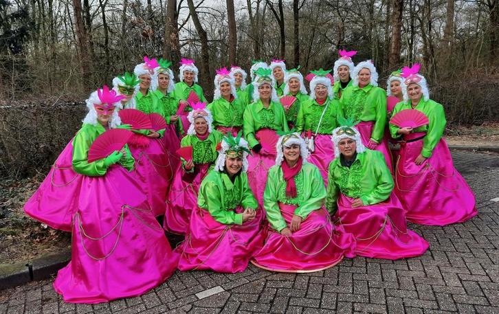 Loopgroep  Het is bal met carnaval, Kleding | Dames, Carnavalskleding en Feestkleding, Zo goed als nieuw, Carnaval, Ophalen of Verzenden
