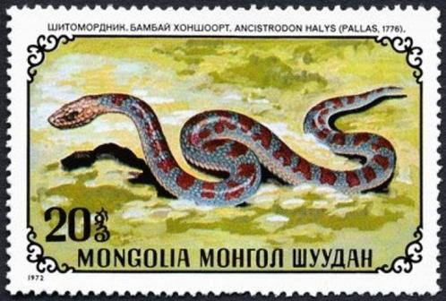 MONGOLIË 128 - Dieren: reptielen (halys-adder), Postzegels en Munten, Postzegels | Thematische zegels, Postfris, Dier of Natuur