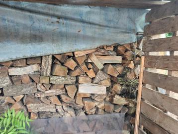 Eiken hout droog haardhout beschikbaar voor biedingen