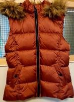 Bordeaux rode bodywarmer NIEUW maat 164 afneembare bontrand, HM, Meisje, Nieuw, Ophalen of Verzenden