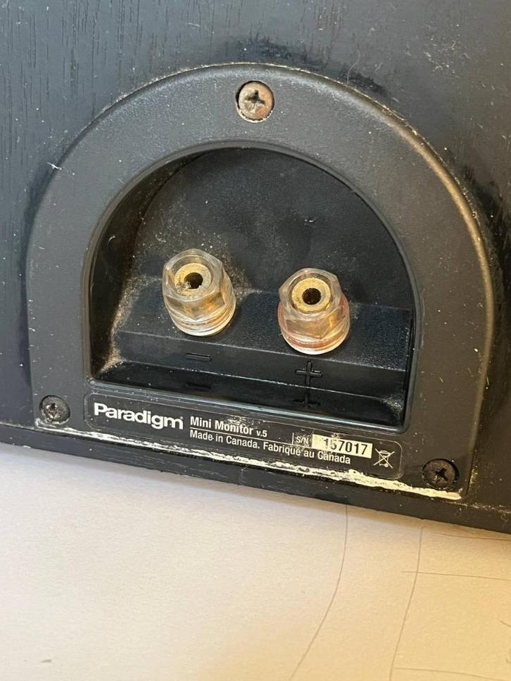 Paradigm Mini Monitor v.5 - 2 pairs (4 speakers) - Working, Audio, Tv en Foto, Luidsprekers, Gebruikt, Front, Rear of Stereo speakers
