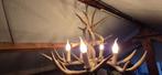 Hanglamp met hert gewei, Ophalen, Gebruikt, Hert, Gewei of Kop