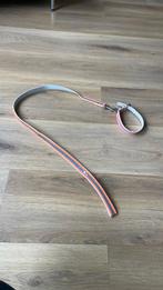 Hondenriem / halsband met reflector, Dieren en Toebehoren, Hondenriemen, Ophalen of Verzenden, Gebruikt