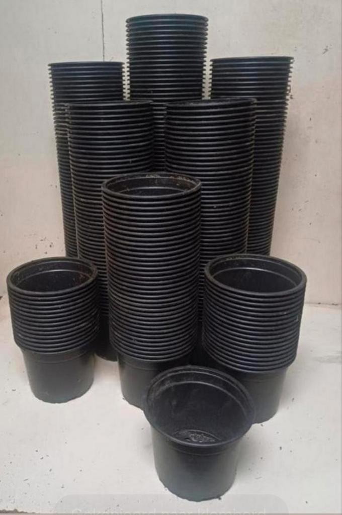 Kweekpotten 2 liter, Tuin en Terras, Bloempotten, Gebruikt, Kunststof, Minder dan 40 cm, Minder dan 25 cm, Rond, Ophalen of Verzenden
