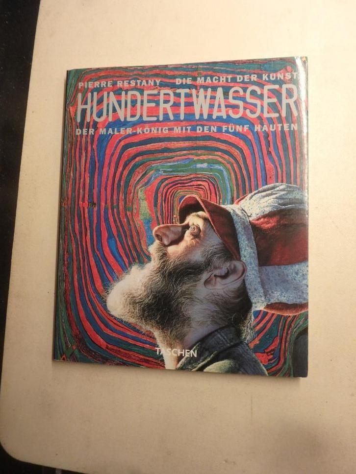 Hundertwasser Der Maler Konig., Boeken, Kunst en Cultuur | Beeldend, Zo goed als nieuw, Grafische vormgeving, Ophalen of Verzenden
