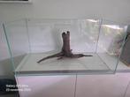 OASE Scaperline 90 - NIEUW, Dieren en Toebehoren, Vissen | Aquaria en Toebehoren, Ophalen, Nieuw, Leeg aquarium