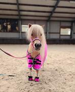 Super knappe gave blonde caramel/crème bonte mini shetlander, Dieren en Toebehoren, Pony's, Merrie, 3 tot 6 jaar