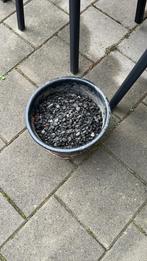 Kiezelstenen gratis, Tuin en Terras, Grind, Keien en Split, Ophalen, Overige materialen, Gebruikt, Kei
