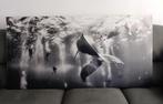Canvas 150 x 75 cm walvis, Ophalen, Overige typen, 125 cm of meer, Zo goed als nieuw
