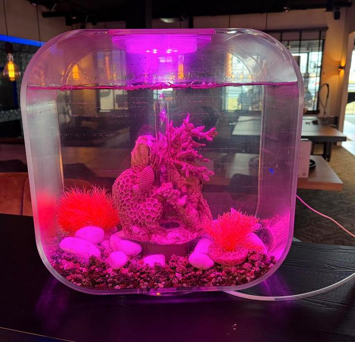 Biorb life 30 mcr aquarium, Dieren en Toebehoren, Vissen | Aquaria en Toebehoren, Gebruikt, Leeg aquarium, Ophalen of Verzenden