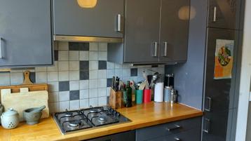 Onderdelen van een ikea Faktum keuken - afbeelding 3