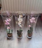 Kunst orchideeën in vaas, Ophalen, Zo goed als nieuw, Binnen