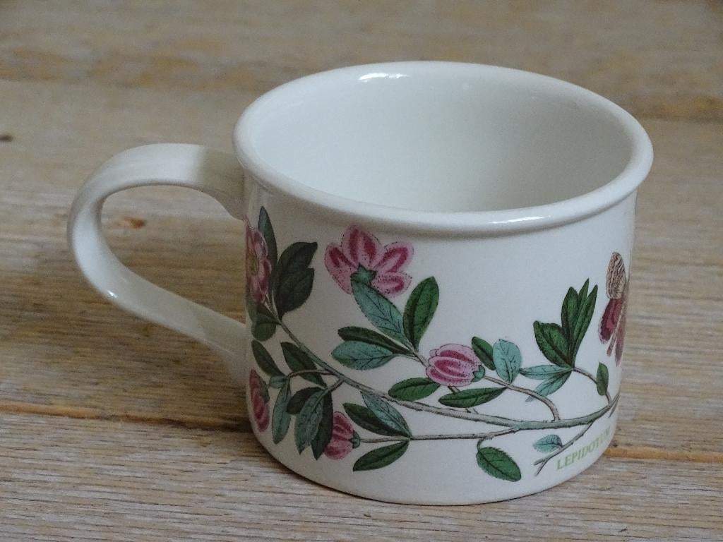 Mok, Port Meirion, THE BOTANIC GARDEN, z.g.a.n., Ophalen of Verzenden