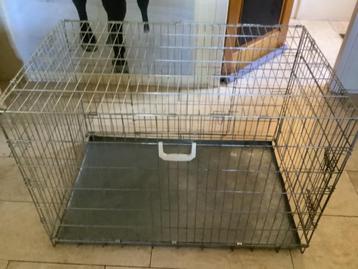 Bench hond beschikbaar voor biedingen