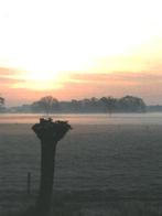 987215 Twello Gld Nette oude kaart Onbeschreven, Ophalen of Verzenden, 1980 tot heden, Ongelopen, Gelderland