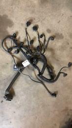 Kabelboom motor  Volkswagen Polo 6R ('09-'14) 036971612CR, Gebruikt, Volkswagen, Ophalen of Verzenden, Volkswagen