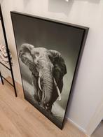 Canvas lopende olifant 70x117 cm, Print, Gebruikt, 50 tot 75 cm, Ophalen