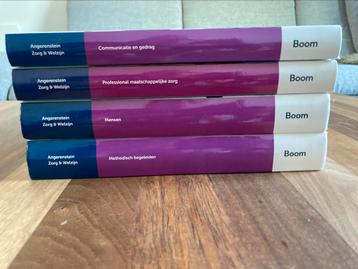 Boeken opleiding begeleider maatschapelijke zorg combipakket beschikbaar voor biedingen