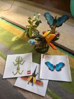 Insecten collectie creator lego compleet, Ophalen of Verzenden, Zo goed als nieuw, Complete set, Lego