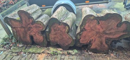 Secouia redwood, Antiek en Kunst, Kunst | Beelden en Houtsnijwerken, Ophalen
