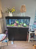Juwel Rio 180, Dieren en Toebehoren, Vissen | Aquaria en Toebehoren, Ophalen, Gebruikt, Gevuld zoetwateraquarium
