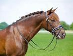 Profi-Rider Jupiter Hoofdstel Lak Zwart Wit onderl. Cob+Full, Ophalen of Verzenden, Nieuw, Dressuur
