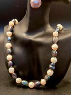 Parel ketting, Sieraden, Tassen en Uiterlijk, Overige materialen, Overige kleuren, Nieuw, Ophalen of Verzenden