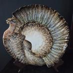 Sublieme aardewerk schaal, kalkoen, van R. Blanche, Antiek en Kunst, Ophalen of Verzenden