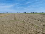 Ronde hooibalen te koop, Dieren en Toebehoren, Stalling en Weidegang