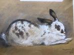 Getekend konijn, pastelkrijt en potlood, Antiek en Kunst, Kunst | Tekeningen en Foto's, Ophalen of Verzenden