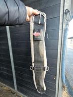 Weaver westernsingel, Dieren en Toebehoren, Ophalen of Verzenden, Springen