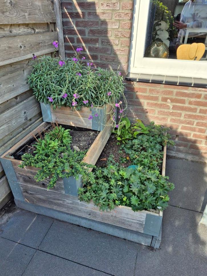 Moestuinbak 3 lagen - 103x103x60cm, Tuin en Terras, Bloembakken en Plantenbakken, Gebruikt, Hout, Balkon, Tuin, 30 tot 60 cm, 100 cm of meer