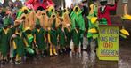 loopgroep carnaval of mais kostuum vrijgezellenfeest, Kleding | Dames, Carnavalskleding en Feestkleding, Carnaval, Zo goed als nieuw