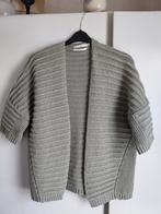 aaiko dames vest ,grof gebreid ,maat M,kleur zachtgroen, Kleding | Dames, Ophalen of Verzenden, Zo goed als nieuw, Maat 38/40 (M)