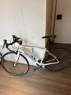 Specialized Secteur Racefiets - Maat 54, Ophalen of Verzenden