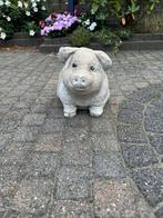 Betonnen varken, Tuin en Terras, Ophalen, Gebruikt, Beton, Dierenbeeld