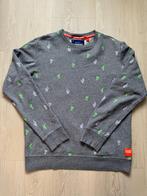 Superdry trui, M, Maat 48/50 (M), Ophalen of Verzenden, Zo goed als nieuw, Grijs