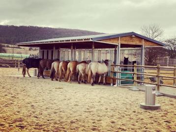 Hooiruif, Paardenruif TOP Hooibak en Weidehut met Voerhek beschikbaar voor biedingen
