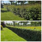 Tuinman aangeboden, Vacatures