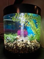 Biorb tube 35l, Dieren en Toebehoren, Ophalen, Gebruikt, Overige typen