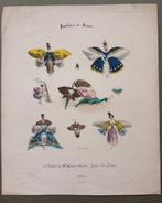 Pappillons de France Charles Philipon litho / beduimeld, Ophalen of Verzenden, Voor 1940, Gebruikt, Overige onderwerpen