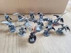 Warhammer AOS Chaos Furies Proxies, Ophalen of Verzenden, Gebruikt, Warhammer, Figuurtje(s)