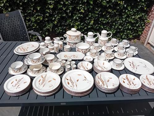 Compleet Stonehenge Midwinter Wild Oats servies.
Puntgaaf., Huis en Inrichting, Keuken | Servies, Overige stijlen, Porselein, Ophalen of Verzenden
