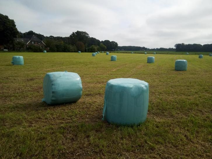 Pony en paarden, droog hooi, midi balen in folie, Dieren en Toebehoren, Dierenvoeding, Vee, Ophalen