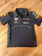 Red bull / max verstappen polo mt 104, Ophalen of Verzenden, Zo goed als nieuw, Formule 1