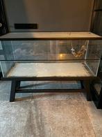 Terrarium hamsterscaping, Dieren en Toebehoren, Knaagdieren en Konijnen | Hokken en Kooien, 110 cm of meer, Zo goed als nieuw
