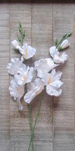 GLADIOOL - KUNST (KORT) WIT & GEEL, Ophalen of Verzenden, Nieuw