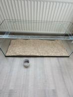 Terrarium hamsterscaping hamsterverblijf, Dieren en Toebehoren, Knaagdieren en Konijnen | Hokken en Kooien, Overige typen, Minder dan 60 cm