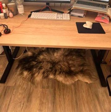 Bureau beschikbaar voor biedingen