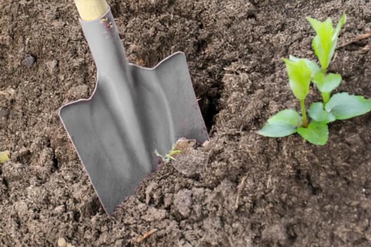 Gratis grond tuinaarde 10m3 beschikbaar – Schuytgraaf Arnhem, Tuin en Terras, Aarde en Mest, Tuinaarde, Ophalen